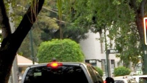 Niño se viraliza por cantar canción de Amanda Miguel | Mezcalent.