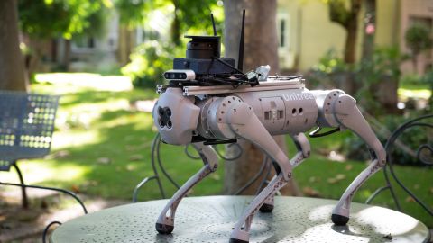 Tefi Perro robot