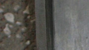 Tatiana hace terrible confesión | Mezcalent.