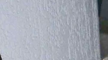 Fallece la Diva del Cine de Oro, Gina Romand | Mezcalent.