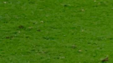 Croacia derrotó 3-0 a Argentina en Rusia 2018.