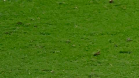 Croacia derrotó 3-0 a Argentina en Rusia 2018.