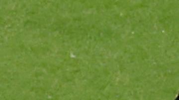 El árbitro polaco fue uno de los más polémicos del Mundial.