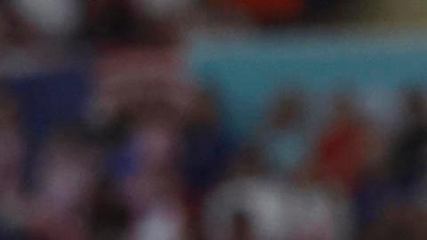 Cody Gakpo metió un gol en los 3 partidos de la fase de grupos.