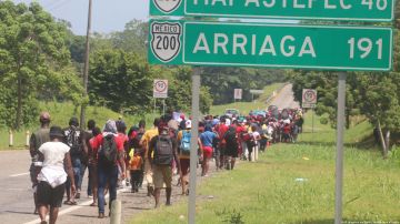 Migrantes de Venezuela, Haití, Cuba y Guatemala en grupo a través de México.