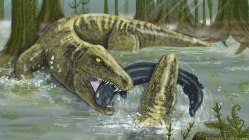 Un temible animal prehistórico es considerado como el "T. rex de su época"