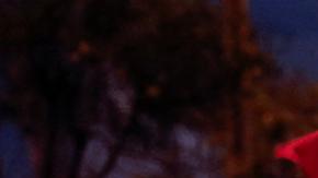 Boluarte propone adelantar comicios en Perú a abril de 2024