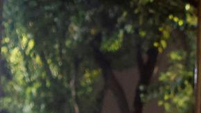 Brasil: protesta bolsonarista deja vehículos incendiados en Brasilia