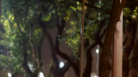 Brasil: protesta bolsonarista deja vehículos incendiados en Brasilia