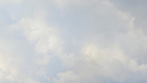 Sube a nueve el número de muertos en protestas en el sur de Perú