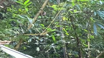 Migrantes venezolanos cruzan el Tapón del Darien en dirección a México y la frontera con Estados Unidos.