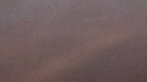 Aficionado con la camiseta de Lionel Messi y la selección de Argentina.