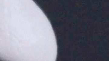 Pepe Aguilar da emotiva felicitación a su esposa | Mezcalent.