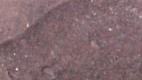 Daniela Luján revive rivalidad con Belinda | Mezcalent.