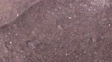 Daniela Luján revive rivalidad con Belinda | Mezcalent.