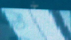 Niurka exhibe a Emilio Osorio | Mezcalent.