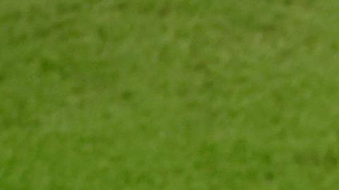 El número 24 lo tomó Bremer.