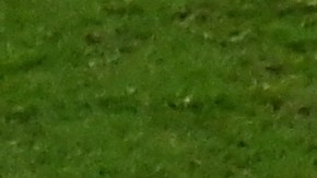 Sergio 'Kun' Agüero celebrando la victoria de Argentina en Qatar 2022.