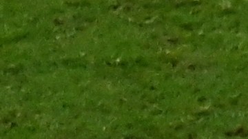 Sergio 'Kun' Agüero celebrando la victoria de Argentina en Qatar 2022.