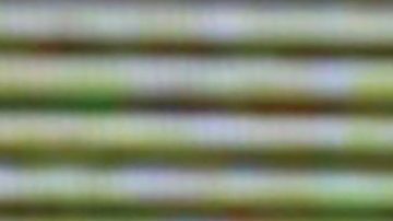 Danna Paola tiene accidente en concierto | Mezcalent.