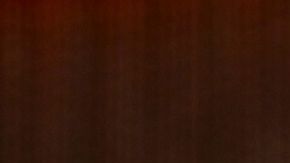 Adele y Daddy Yankee