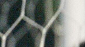 Adriano ex goleador de la Selección Brasileña.