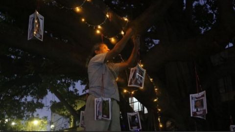 Arbol de la Esperanza en Acapulco