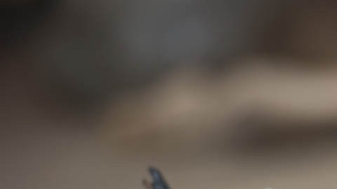 Oliver Valle había acordado reunirse con una mujer de nombre Eva María Salgado Cedeño