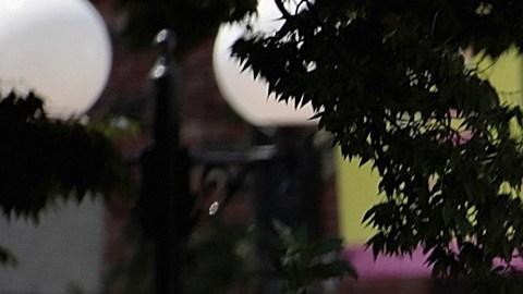 Caníbal de Michigan recibió cadena perpetua por asesinato y mutilación de un hombre que conoció en Grindr