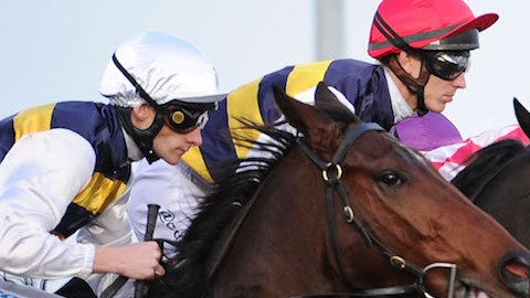 Carreras de caballos