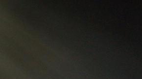 Científicos confirman que los dinosaurios reinaban la Tierra antes de extinguirse