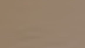 Provided by Clementina Hernandez