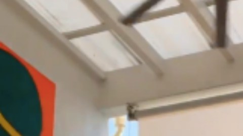 Daniella Álvarez y Daniel Arenas presumen su árbol por Navidad