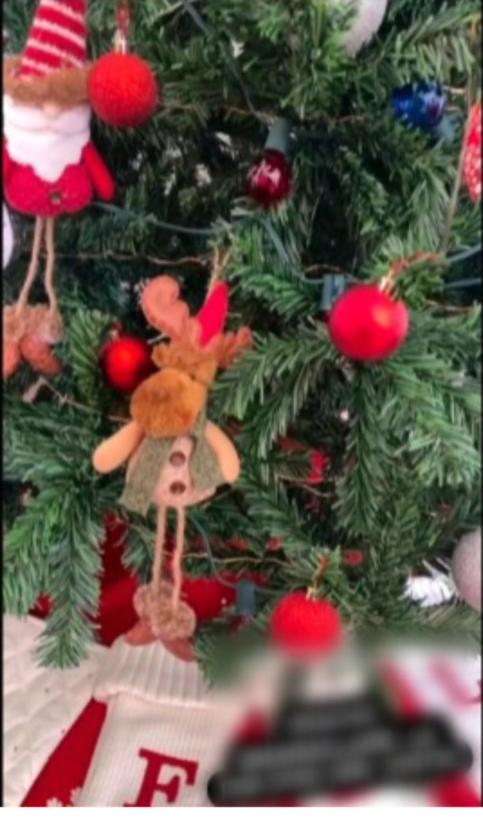 This is what Fernanda Castillo's Christmas decoration looks like (Fernanda Castillo/Instagram)