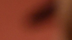 Crean videojuego para perros