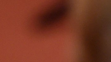 Crean videojuego para perros