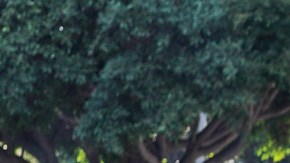 Motociclistas le ayudan a Santa Claus en la frontera San Diego-Tijuana.