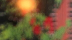 Danna Paola y Angelique Boyer