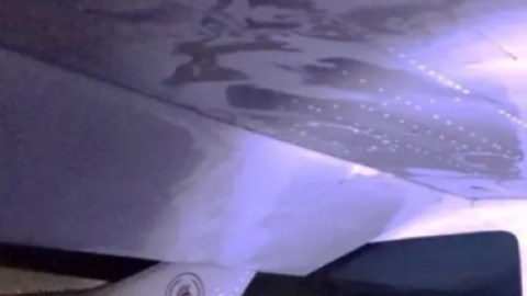 Decomiso de cocaína