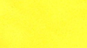 Lionel Messi y Joe Biden, presidente de Estados Unidos.