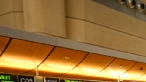 Aproximadamente 100 trabajadores participaron en el mitin en el LAX.