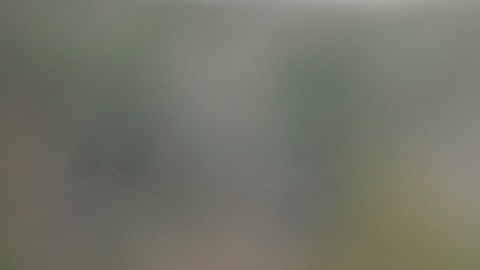 En todo el mundo, las mujeres son más empáticas que los hombres