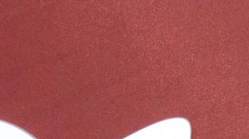 Ernesto Laguardia continúa combinando su trabajo como actor con su faceta de empresario