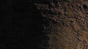 Es posible que los animales tengan pesadillas y los humanos las estén provocando