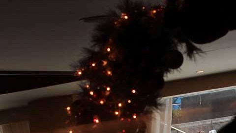 De cara a las fiestas de fin de año, las personas son más vulnerables para ser víctimas de estafas