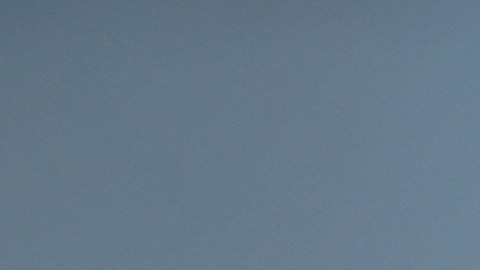 Falleció el entrenador Mike Leach de una afección cardíaca.