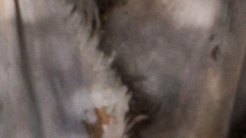 TOPSHOT - FBI agents are collecting evidence at the home of suspected nightclub shooter Ian David Long in Thousand Oaks, northwest of Los Angeles, on November 8, 2018. - The gunman who killed 12 people in a crowded California country music bar has been identified as 28-year-old Ian David Long, a former Marine, the local sheriff said Thursday November 8, 2018. The suspect, who was armed with a .45-caliber handgun, was found deceased at the Borderline Bar and Grill, the scene of the shooting in the city of Thousand Oaks northwest of downtown Los Angeles. (Photo by Apu GOMES / AFP) (Photo by APU GOMES/AFP via Getty Images)