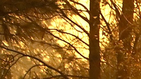 “El diablo me obligó a hacerlo”: mujer latina de Boston incendió edificio de apartamentos porque estaba “embrujado”