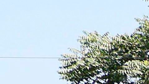 Tragedia en Afganistán: Explosión en túnel de camión cisterna deja al menos 19 muertos