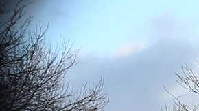 Christopher Williams pasó menos de dos años en libertad tras 25 años encarcelado injustamente por un triple homicidio. Tras salir de prisión, inicio un negocio de carpintería en busca de ayudar a reclusos recién liberados